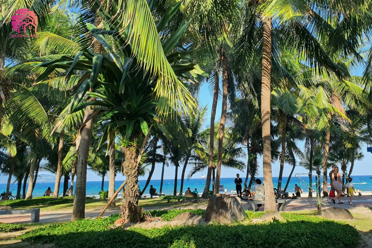 Lối Sống Healthy Và Văn Hóa Thể Thao Biển Tại Đà Nẵng